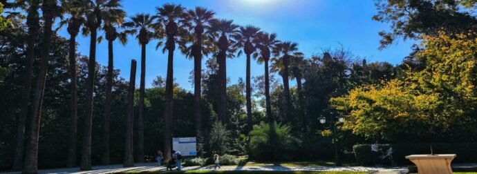 Καιρός σήμερα 9/3: Θερμή εισβολή με 20άρια – Η εκτίμηση από Μαρουσάκη και Τσατραφύλλια