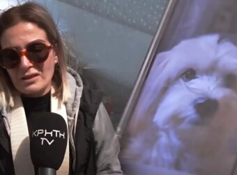 Συγκλονισμένη η ιδιοκτήτρια του μικρόσωμου σκύλου που κατασπαράχθηκε – «Αυτό που έζησα να μην το ζήσει κανείς» (video)