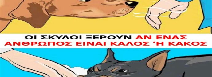 Έτσι τους καταλαβαίνουν: Τα σκυλιά μπορούν να ξεχωρίσουν ποιος είναι καλός και ποιος κακός άνθρωπος