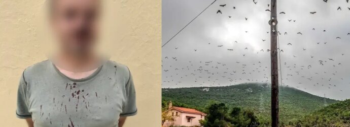 Άγριο ξύλο για τα πουλιά: Λαθροκυνηγοί έστειλαν στο νοσοκομείο ορνιθολόγους από το ξύλο