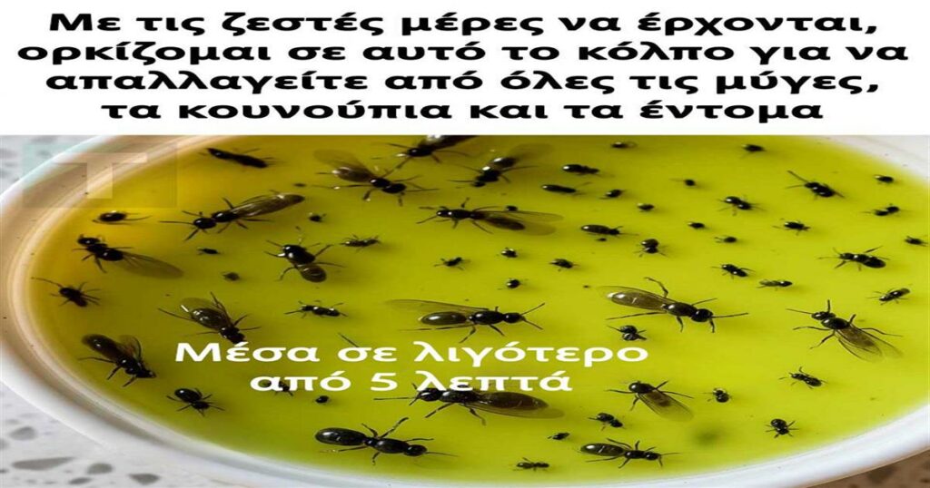 Βάλτε τέλος στα ενοχλητικά έντομα με αυτό το κόλπο που θα κάνετε μόνοι σας