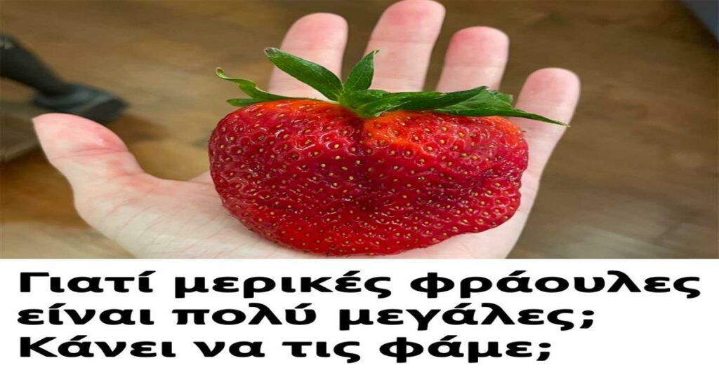 Γιατί μερικές φράουλες είναι πολύ μεγάλες; Κάνει να τις φάμε;