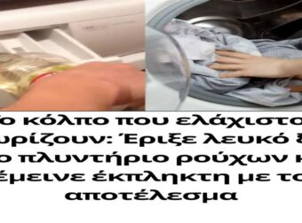 Το κόλπο που ελάχιστοι γνωρίζουν: Έριξε λευκό ξίδι στο πλυντήριο ρούχων και έμεινε έκπληκτη με το αποτέλεσμα
