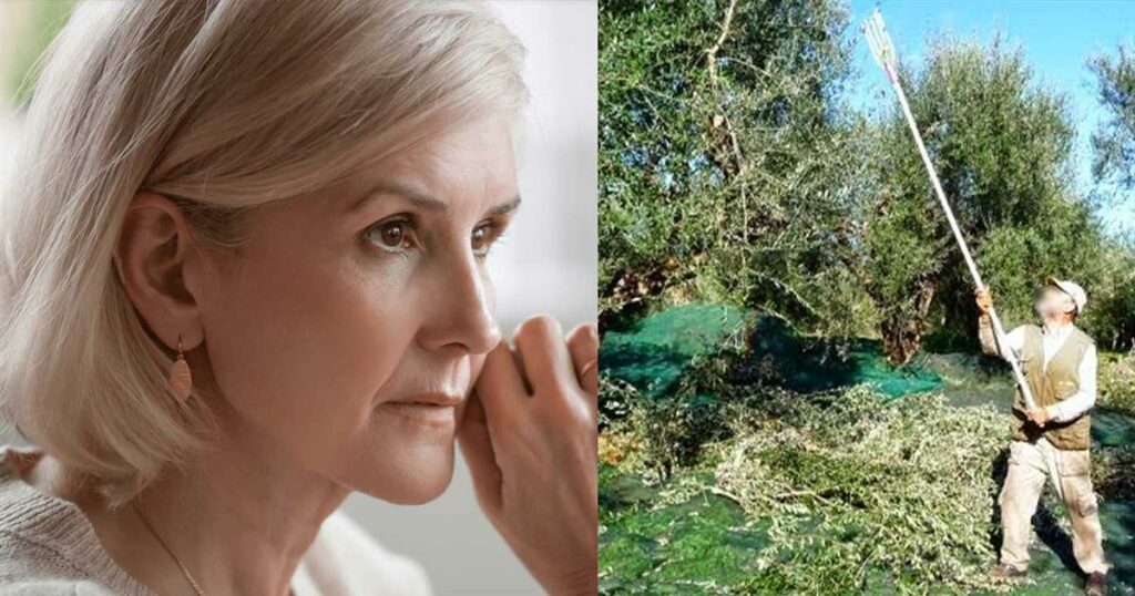 O άντρας μου κατέβηκε στο νησί να μαζέψει ελιές πριν 5 χρόνια και ακόμη να γυρίσει. Τι να κάνω;