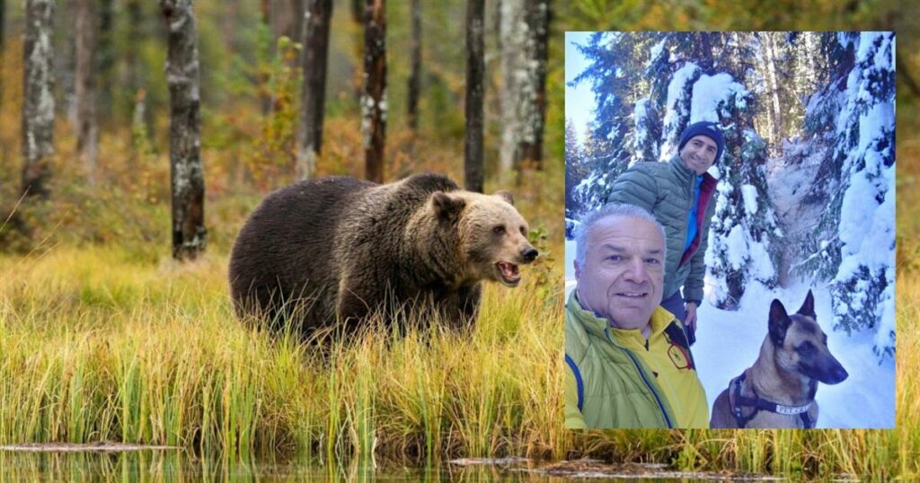 «Σταματήστε τις θεωρίες, είμαι σε σοκ» – Το ξέσπασμα του διασωθέντα ορειβάτη από την αρκούδα στη Δράμα