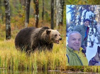 «Σταματήστε τις θεωρίες, είμαι σε σοκ» – Το ξέσπασμα του διασωθέντα ορειβάτη από την αρκούδα στη Δράμα
