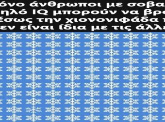 Μόνο άνθρωποι με σοβαρό υψηλό IQ μπορούν να βρουν αμέσως την χιονονιφάδα που δεν είναι ίδια με τις άλλες