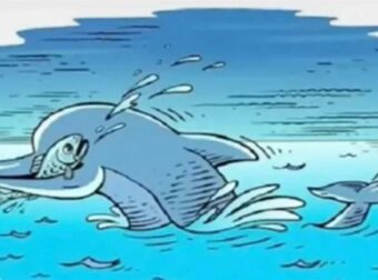Οπτική ψευδαίσθηση: Ελάχιστοι μπορούν να εντοπίσουν το κρυμμένο τρίτο ζώο στη φωτογραφία