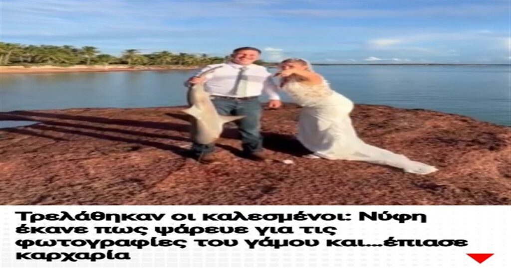 Τρελάθηκαν οι καλεσμένοι: Νύφη έκανε πως ψάρευε για τις φωτογραφίες του γάμου και…έπιασε καρχαρία