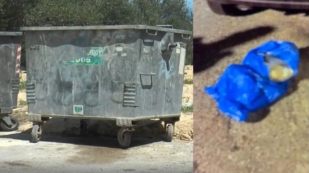 «Γνωρίζονταν χρόνια, ήταν συμμαθήτριες, άλλαξε φύλο ο σύζυγος και παντρεύτηκαν»: Σοκάρουν οι αποκαλύψεις για την εγκατάλειψη βρέφους σε κάδο