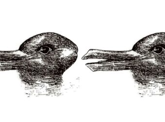 Οπτική ψευδαίσθηση: Βλέπετε μια πάπια ή ένα κουνέλι;