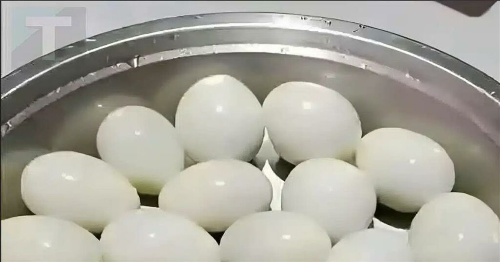 Πόσα αυγά βλέπετε σε αυτή την φωτογραφία;