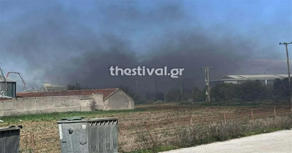 ΠΑΝΑΓΙΑ ΜΟΥ: ΠΑΝΙΚΟΣ ΤΩΡΑ ΣΤΗ ΧΩΡΑ ΜΑΣ – ΜΕΓΑΛΗ ΦΩΤΙΑ ΣΕ ΒΙΟΤΕΧΝΙΑ – ΔΥΣΤΥΧΩΣ ΕΧΟΥΜΕ ΕΝΑΝ…