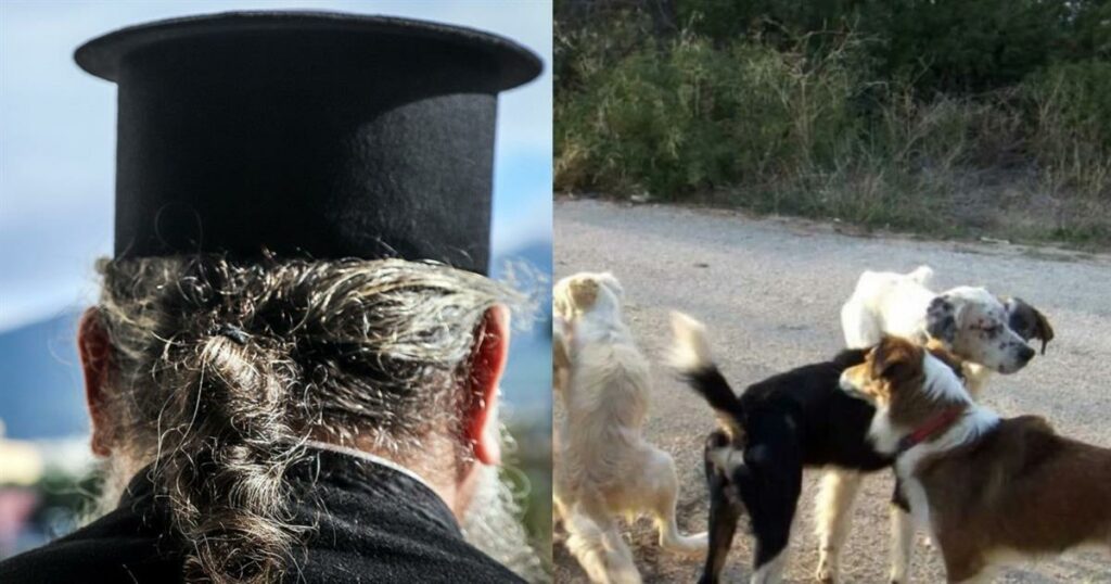 Παρολίγο τραγωδία στο Αγρίνιο: Αδέσποτοι σκύλοι επιτέθηκαν σε ιερέα – Μεταφέρθηκε στο νοσοκομείο