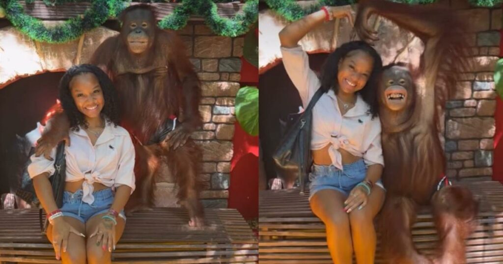 Safari world: Στην Ταϊλάνδη οι τουρίστες φωτογραφίζονται με «εκπαιδευμένους» χιμπατζήδες σε απαγορευτικές στάσεις