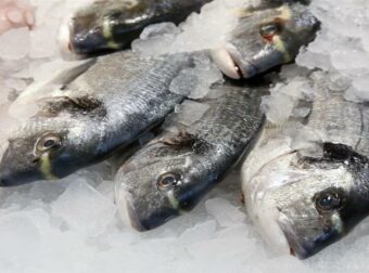 3 γρήγοροι και αποτελεσματικοί τρόποι για να ξεπαγώσετε τα ψάρια