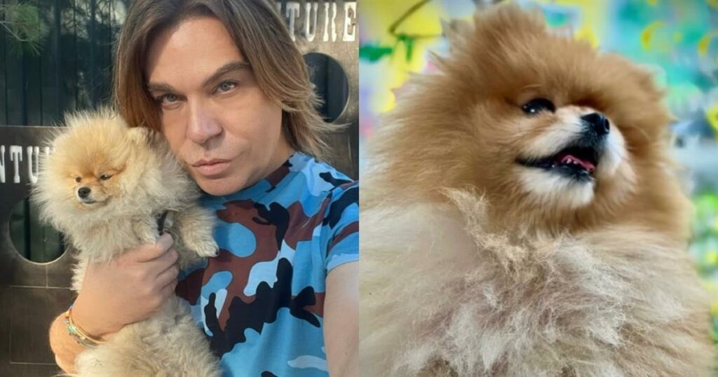 Τρύφωνας Σαμαράς: Η πρώτη του ανάρτηση μετά τον τραγικό θάνατο της σκυλίτσας του – «Άγγελέ μου»