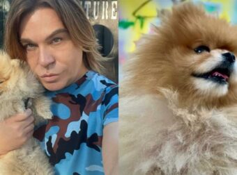 Τρύφωνας Σαμαράς: Η πρώτη του ανάρτηση μετά τον τραγικό θάνατο της σκυλίτσας του – «Άγγελέ μου»