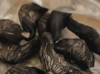 Ο γείτονας μου έδωσε μια σακούλα από αυτά. ξέρει κανείς τι είναι